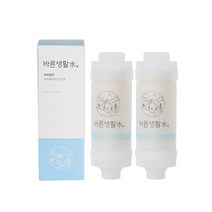 바른생활수 녹물 염소 제거 비타민 샤워필터, 2개, 무향