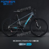 로드전기자전거 전동 자토바이 팻바이크 접이식 배터리 카본 바이크 산악, O