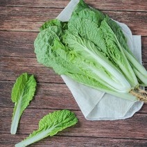 경기도 포천 싱싱한 얼갈이 2kg 얼갈이배추, 단품