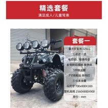 ATV 사륜오토바이 사발이 바이크 산악 전기 사륜바이크 농업용 산악용, B