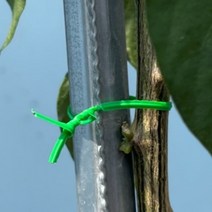 대세우는 고추철사끈 토마토줄기고정줄 매듭 50m, 1개