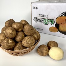 [기린]당일발송 국내산감자 햇감자 수미감자 2kg 3kg 5kg 1BOX, 23년햇감자, 특(적당한크기)