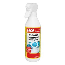 HG 다용도 곰팡이클리너 500ml 몰드스프레이 방지 얼룩클리너 욕실 베란다 벽 청소용, 1개