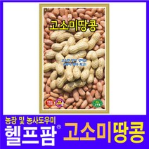 헬프팜 고소미땅콩 500g 씨앗 종자 KS종묘