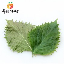 [우리가락]시소 25개 한팩, 단품