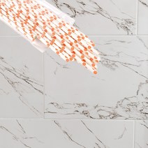 환경 지킴 종이 빨때 카페 교육 페이퍼 스트로우 댕댕이 무늬 주황