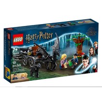 레고 76400 해리포터 호그와트 마차와 세스트랄 레고정품