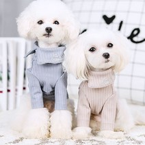 구매평 좋은 강아지니트목폴라 추천순위 TOP100 제품 목록