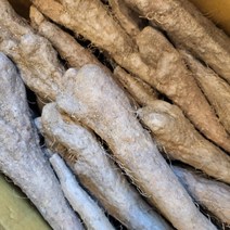 농랑부랑 23년 안동마 햇마 산약마 산마 둥근마 5kg 10kg