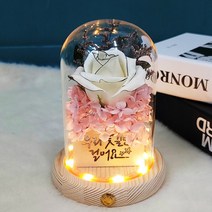 LED 비비로즈 플라워 무드등 거실 인테리어 조명 취침등 수유등, 비비로즈무드등
