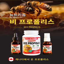 (2병) 캐나다 뉴트리돔 비프로폴리스 프로폴리스 원액 염증에 좋은 비염 면역력 높이는 드랍 30ml