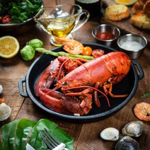 대한민국농수산 활 랍스터 500g 랍스터 테일 바닷가재, 활 랍스터 1kg내외 1마리, 1개