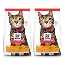 힐스 사이언스 다이어트 10302HG 힐스 고양이 어덜트 라이트 2kg x 2개, 1세트