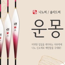 엠제이피싱 운몽 나노 솔리드 사선낚시 사선찌, 490mm(0.77푼0.29g)