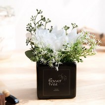 안개국화화분 14cm [조화]