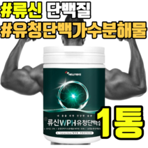 60대 류신 단백질 분말 유청단백가수분해물 근육