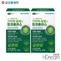 징코 플러스 정 기억력개선 비타민B군 식약처인증 은행잎 추출물 혈행개선, 2박스, 30정