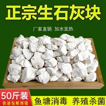 석회가루 생석회블록 석회분말 연못소독제 나무솔 산화칼슘과립 축산농장 흡습건조제, [02] 생석회분말 50kg 1박스