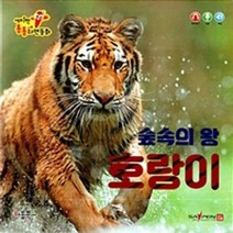 재주 많은 원숭이 세이펜통통자연동화, 상품명