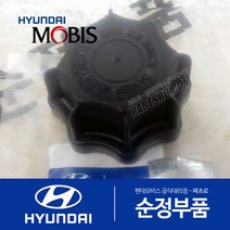 유니버스 스페이스 버스 순정 라디에이터 캡 뚜껑 (연식무관)