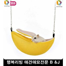 눈꼽심한반려묘눈물억제눈건강관리 고양이처음키울때 고양이배변냄새 고양이모래순위