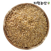 지원농산 카무트 효능 쌀 고대쌀 이집트 1kg