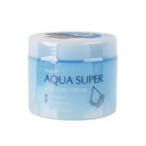 히솝 아쿠아 슈퍼 모이스춰 크림 300ml