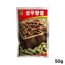 헬프팜 성우 땅콩 50g 종자 씨앗 성우종묘