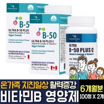 비타민B C 비군 B2 B6 B12 컴플렉스 나이아신 판토텐산 노인 부모님 어르신 활력영양제 효능추천, 100정  / 2개