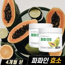 파파인효소 파파야효소 분말 가루, 2개, 200g