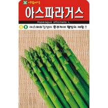AR 아스파라거스 씨앗