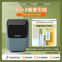 라벨 프린터기 포스트잇 프린터 네임 TAG 이름표, (경제)B1기계+3롤인덱스스티커+흰색라벨1롤