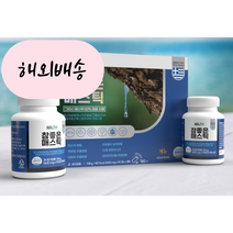위에좋은 매스틱 영양제 매스틱검 맥문동 600mg 180정, 1개, 180개