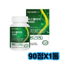 보스웰리아 효능 인도산 관절 BCC 복용법 보수엘리아 관절엔비타민D3 식약처인증 보스웰릭산 모노 페노펜 다이 트라이 해조칼슘 글루코사민 울금 녹색입홍합 상어연골 분말