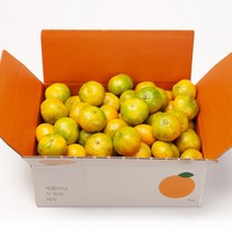 깨비농원 노지 감귤 4.5kg, 1box, 4.5kg 특로얄과(S)