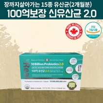 100억보장 100억프로바이오틱스 백억 식물성 캡슐 장까지살아가는 유산균 알약 모양 약 2달 과민성대장증후군 은의사에게 신바이오스틱스 신바이오스틱 신바이오틱스 유상균 비피더스균, 60캡슐, 1, 60캡슐