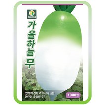 가을하늘무씨앗 2000립 가을파종무 저장성우수 시원한배맛 단단한 육질 무씨, 1개