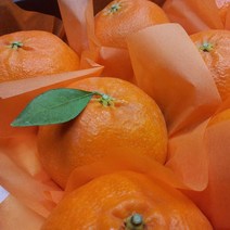제주 레드향 고당도 산지직송 프리미엄 선물세트, 선물용 3kg 11~17과