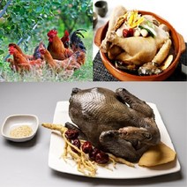 토종닭 2.4kg내외 오골계 백숙용 생닭 [티백 증정] 볶음탕 제사용닭 생오리 시골토종 몸보신용 주문손질 [17시이전주문 당일발송], 토종오골 (1.5kg내외) 1개 + 백숙재료 무료