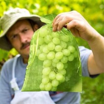 과일보호망 화이트 메쉬망 20*30cm 10p 포장지 재사용 과수원망 조류방지망