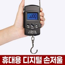 포아워스 휴대용 디지털 손저울 핸드 전자 저울 물고기 낚시 피싱 여행용 캐리어 수화물 자전거 여행 가방 무게 측정, 1개