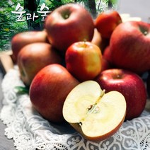 영주 풍기 사과 꿀 부사4kg/8kg 꿀500g 숲과숲사이, 사과4kg+꿀500g