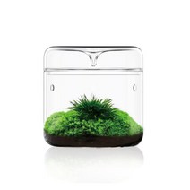 테라리움 유리병 용기