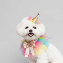 악도그 생일케이프 강아지케이프 고깔모자, 1개