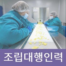 포장의류인력 하원도우미 부품조립 단순조립 인력 경비인력 여성조립인원 제품조립인원 선물포장여성