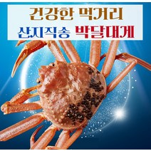 제철수산물 구룡포 산지직송 박달대게 실속형 생물 2kg(5~6마리), 단품