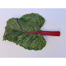 [특급] 싱싱한 비트잎 2kg (1.8~2kg) 박스 잎비트