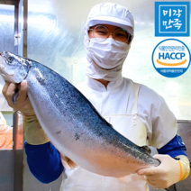 [미각만족] HACCP 얼리지않은 노르웨이 생연어 연어회 필렛 (몸+뱃살) 2kg 1kg 500g 300g, 3종소스(단독구매불가)