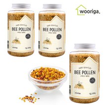 스페인산 벌화분 비폴렌 300g 3병, 단품