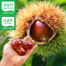 충주밤 이평 석추 단택밤 2KG, 충주밤 석추밤 특 4KG